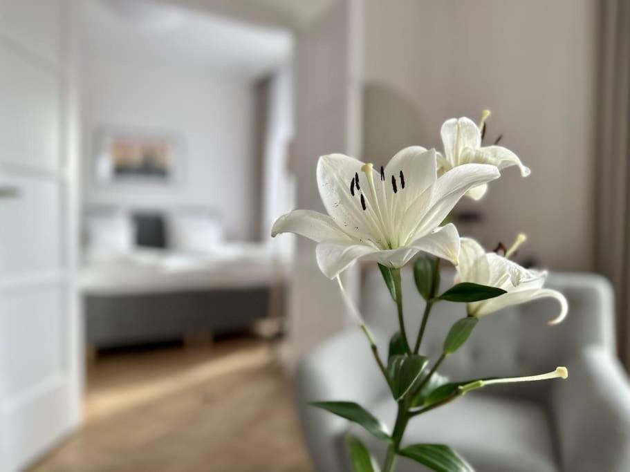 Premium Apartment By Hi - Central 2 Bedroom - Best View บูดาเปสต์ ภายนอก รูปภาพ